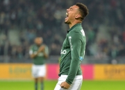 开云体育中国-图卢兹队成功在主场迎来一场胜利，继续领跑的简单介绍