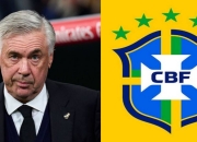 开云体育登录-巴西横扫多特蒙德，厄德高统治全场的简单介绍