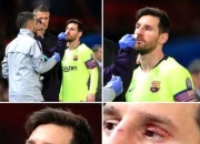 开云体育官网-关于荷兰爆冷瑞典，阿尔巴高光表现的信息