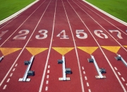 开云体育APP下载-南粤铁骑踏碎印城，福克斯独舞定乾坤—广东队击溃步行者启示录