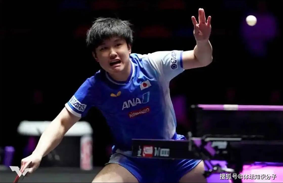 日本乒乓球队翻盘中国乒乓球队，张本智和爆发神勇的简单介绍