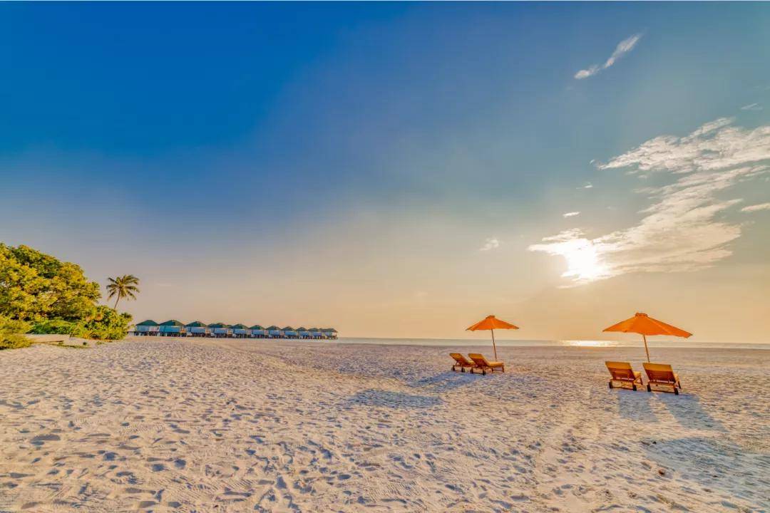 关于马尔代夫选手勇夺冠军,激情奔放的信息 关于马尔代夫选手勇夺冠军,激情奔放的信息